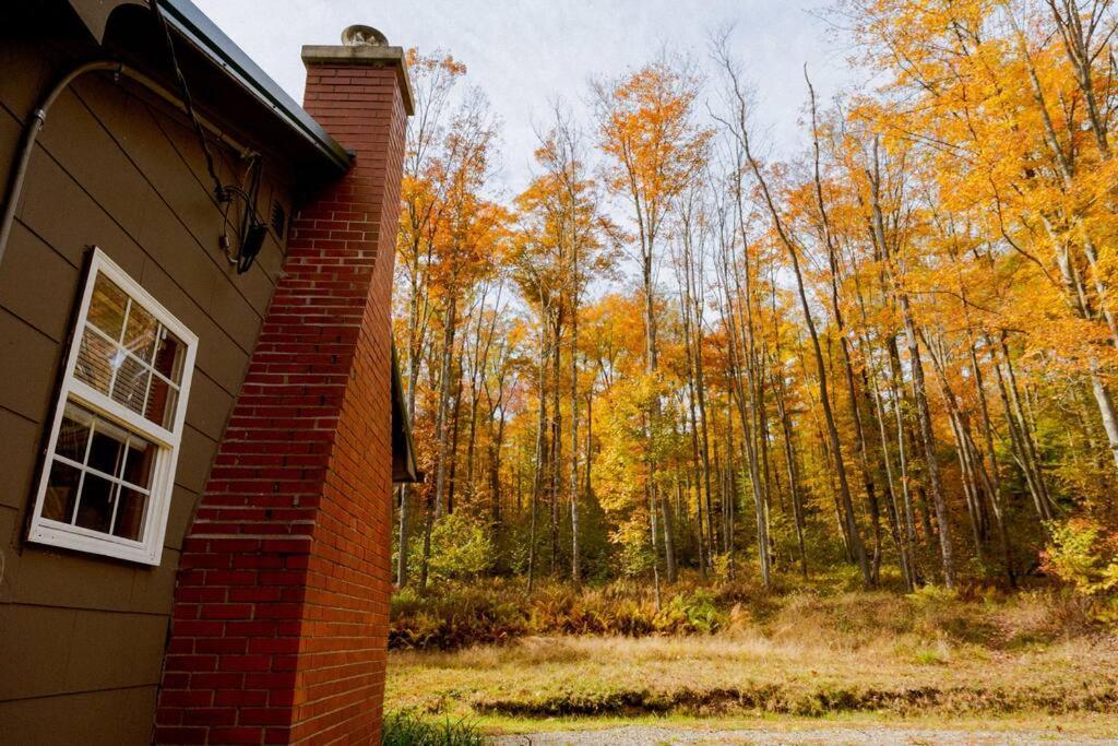 Holiday home Salmon Creek - Allegheny National Forest Marienville
